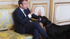 Macron adoptó a Nemo en agosto de este año.