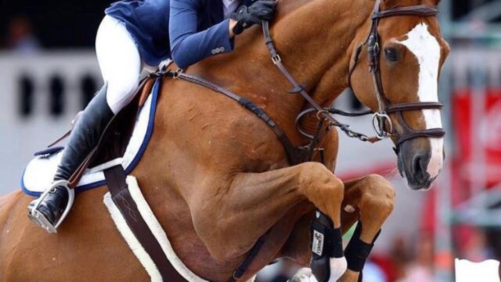 Paola Amilibia salta con su caballo.