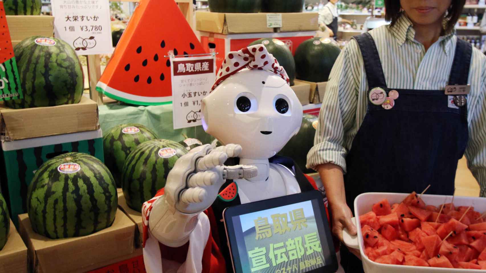 robot-tienda-japonesa