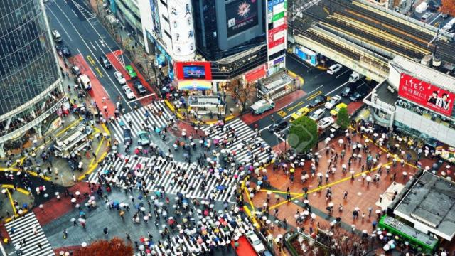 Los pasos de cebra de Shibuya, Tokio