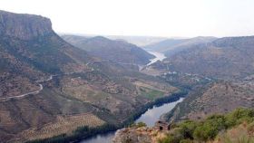 Mirador de la Peña La Vela, con el Duero al fono del cañón, en Los Arribes del Duero./ FALCAO