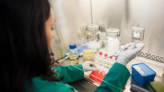 Una investigadora realiza pruebas en un laboratorio del CSIC.