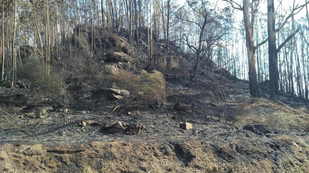 Espacio quemado tras los incendios.