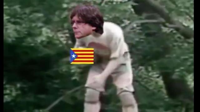 ¡Han matado al Puigdemont Cudeiro!