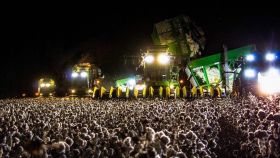 La foto que ha confundido a miles de tuiteros ¿campo de algodón o festival de música?