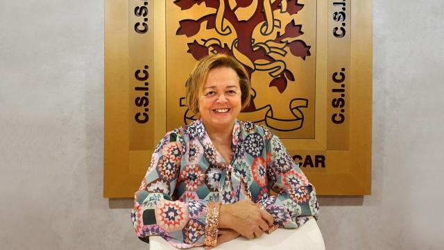 Rosa Menendez, presidenta del CSIC