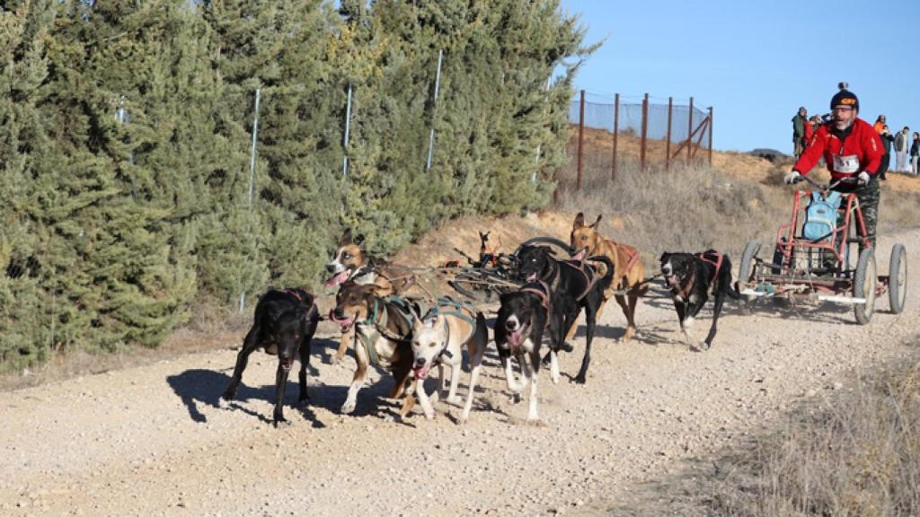 FOTO: Club Mushing Guadalajara