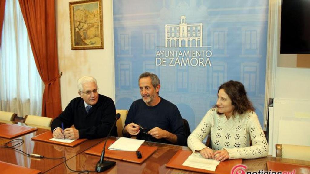 zamora ayuntamiento daz gatos