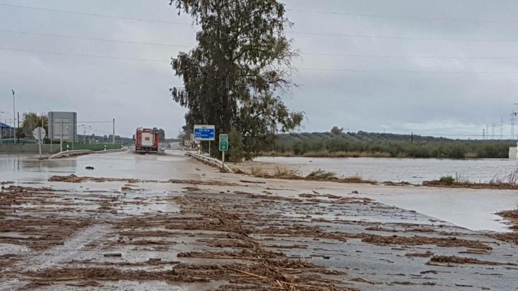 Imagen de los alrededores de las vías.