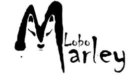 zamora lobo marley