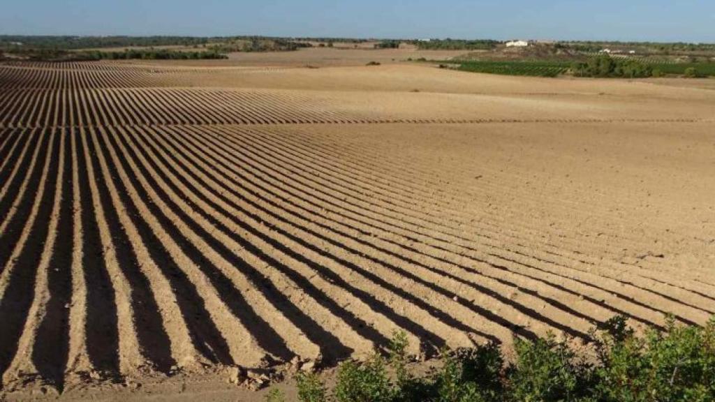 Ampliación ilegal de campo de Cartagena.