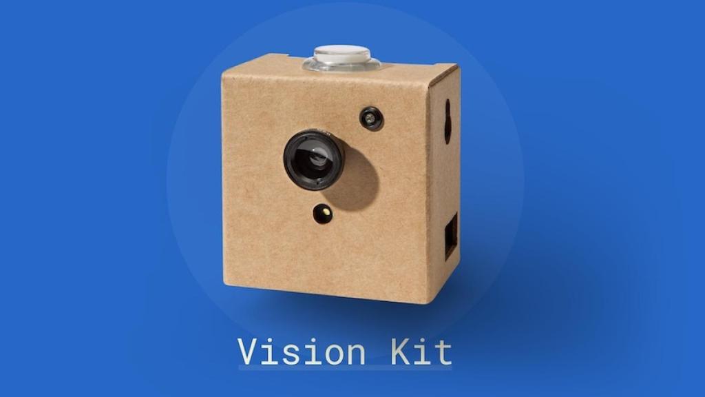 vision kit google camara