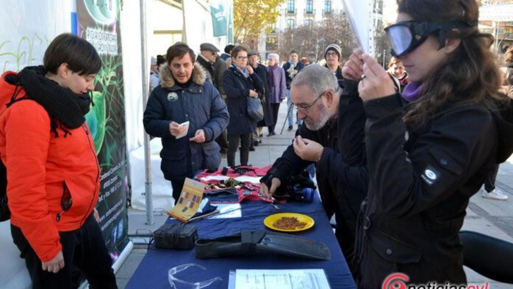 Zamora discapacidad 3