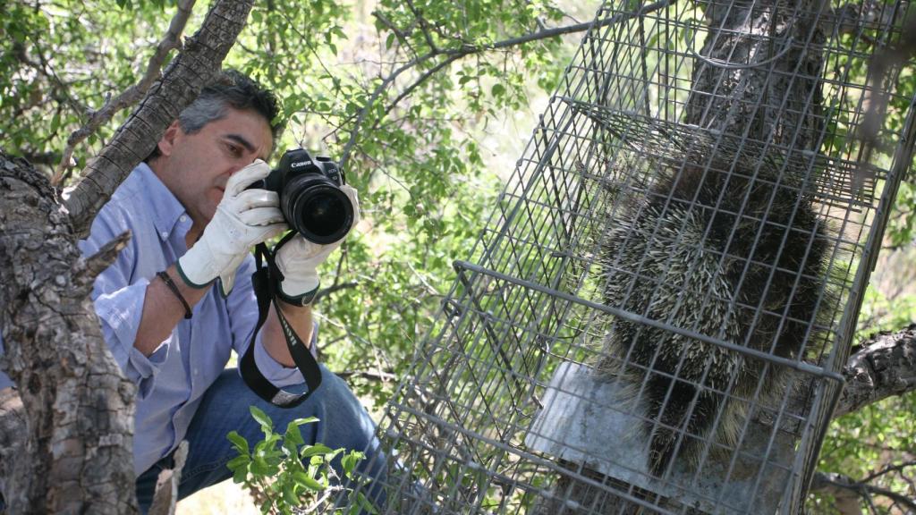 Gerardo Ceballos con un puercoespín.