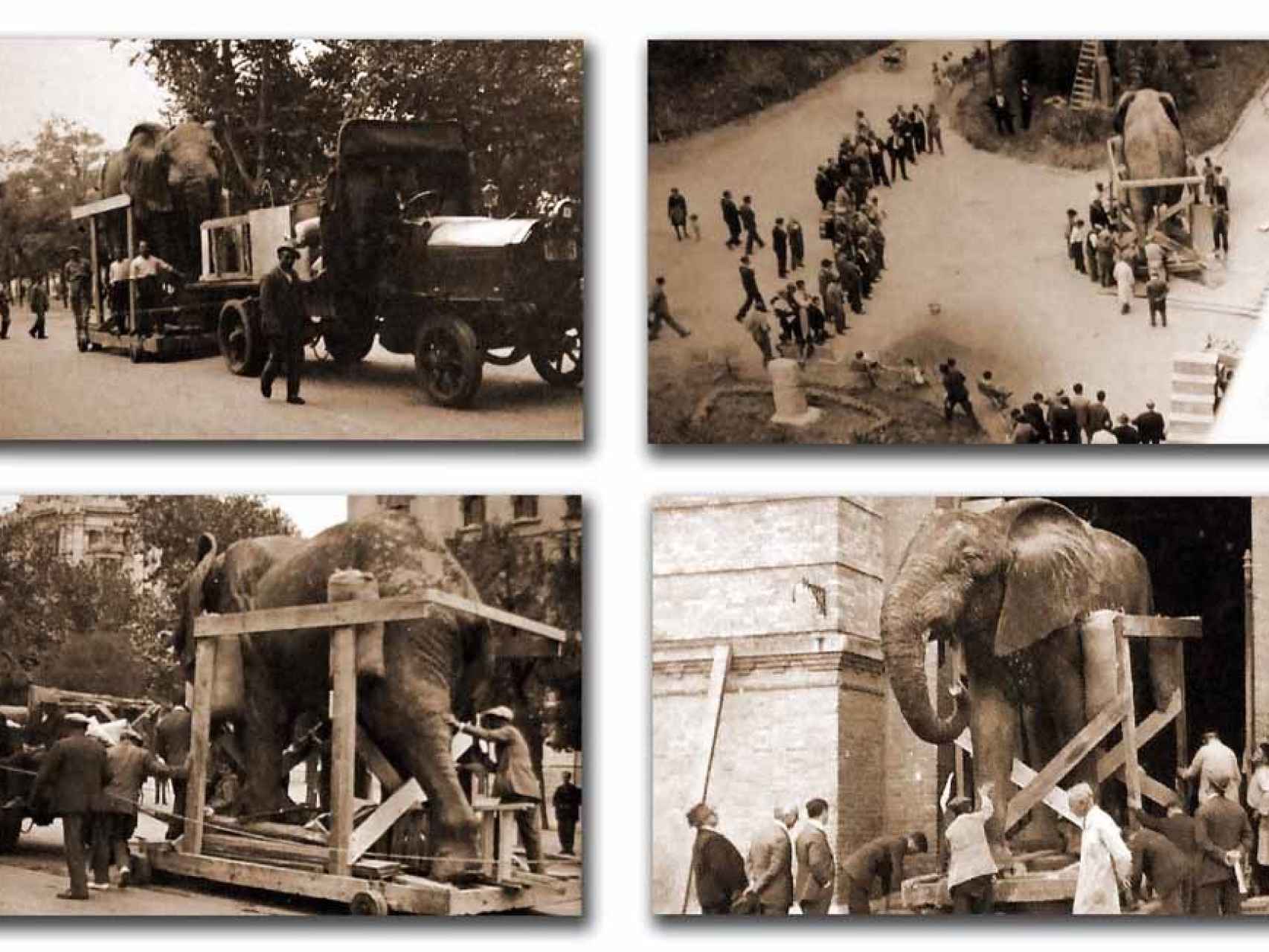 Traslado del elefante africano desde el Jardín Botánico al Museo de Ciencias Naturales, en 1932.