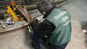 guardia civil cobre