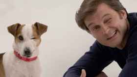 Una saga de perros en la TV: Max, el hijo de Pancho, la nueva estrella de TVE