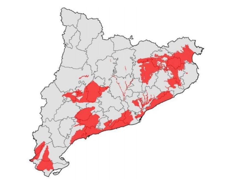 Las zonas de Cataluña con el agua más contaminada por excrementos y orina de cerdos