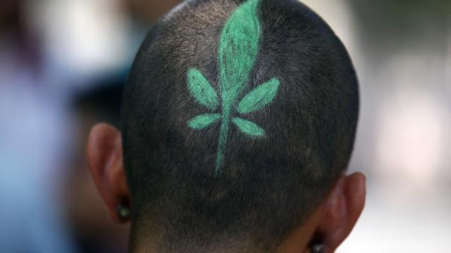 Un joven en una marcha por la legalización de la marihuana en Chile.