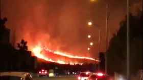 Imagen del incendio forestal declarado en Pollença.