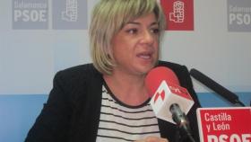 01 elena diego psoe