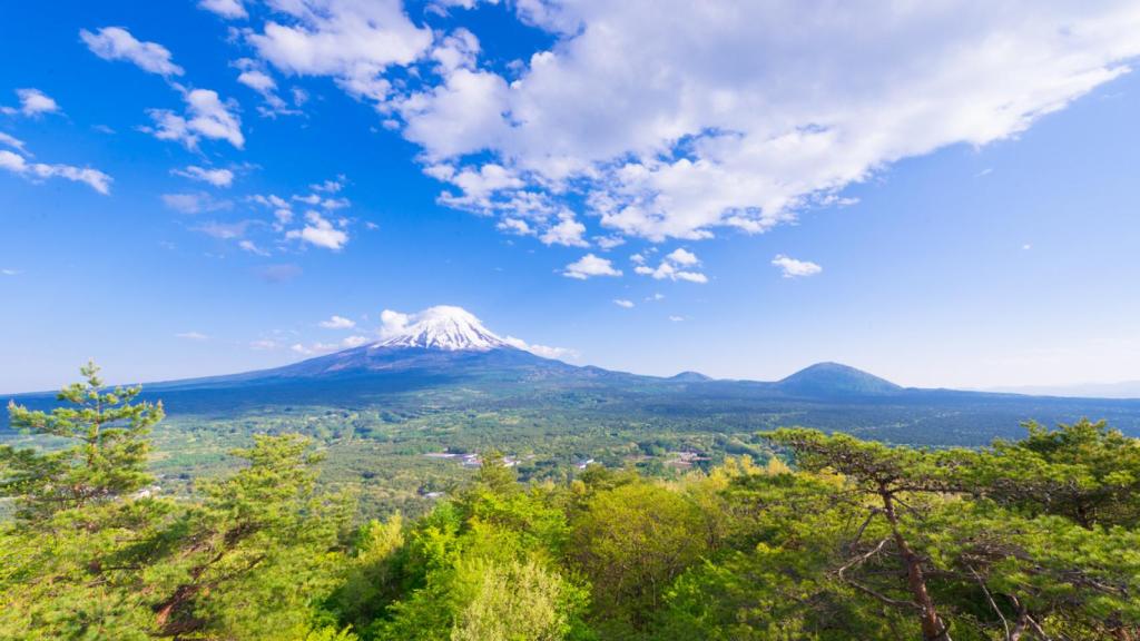 El monte Fuji, sobre el bosque de Aokigahara.