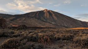 tenerife-guia