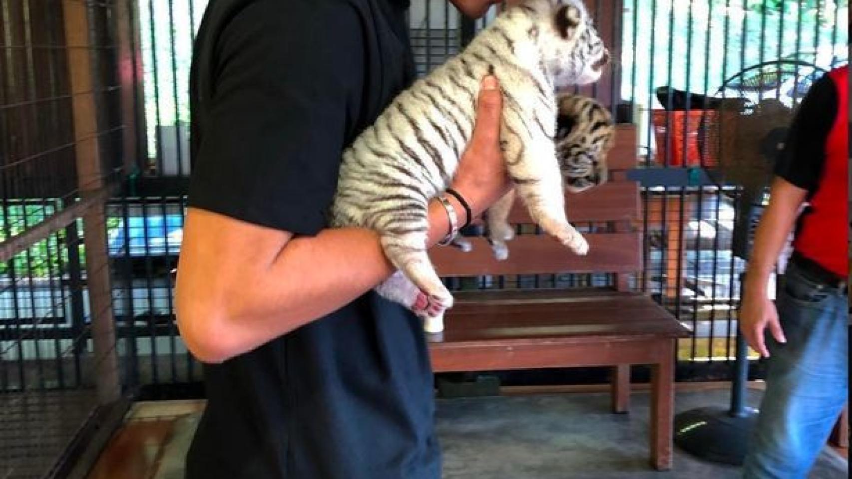 Faiq Bolkiah con su tigre.