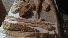 Los Mossos recuperan 20.000 piezas de 393 conjuntos arqueológicos expoliados.