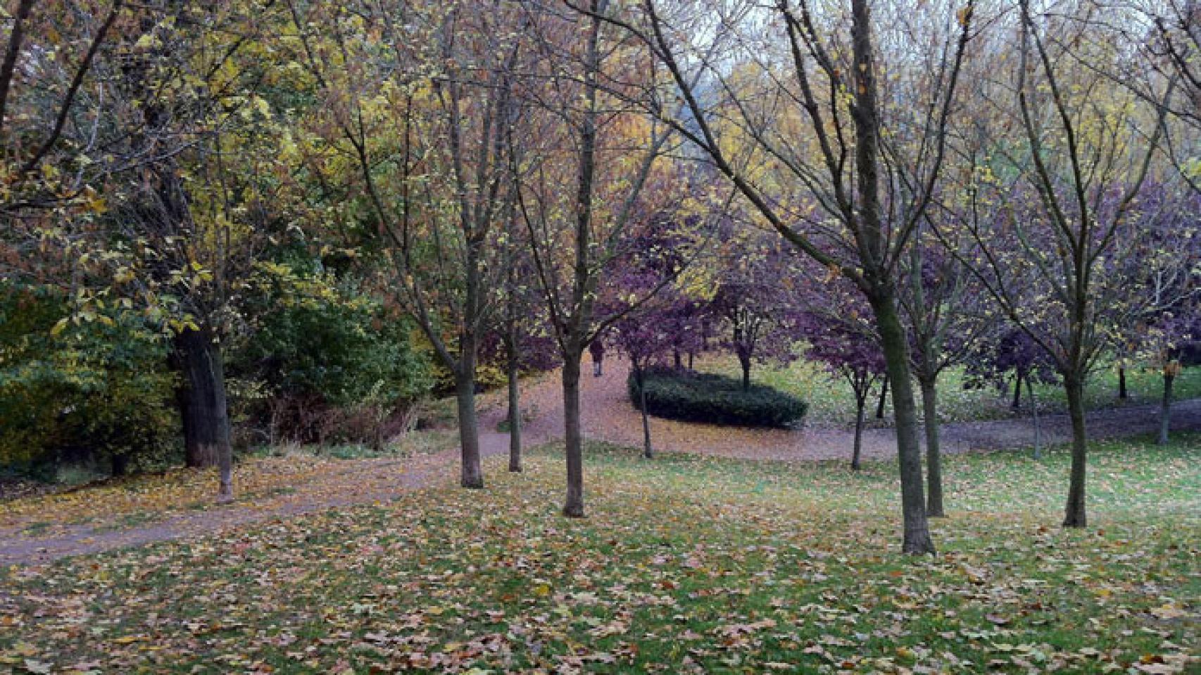 parque-ribera-de-castilla-atropellado-herido-grave