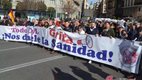 manifestacion defensa sanidad publica plataformas valladolid 20