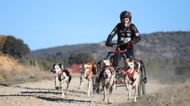 Se esperan carreras a pie con los perros, tirando de carros y de bicicletas.