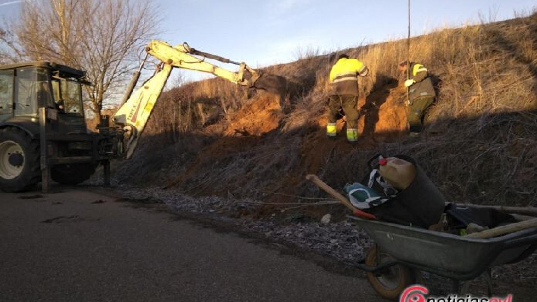 Valladolid-rioseco-reforestacion-camino-castilviejo