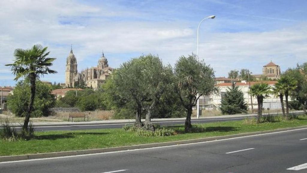 edificio vega salamanca (4)