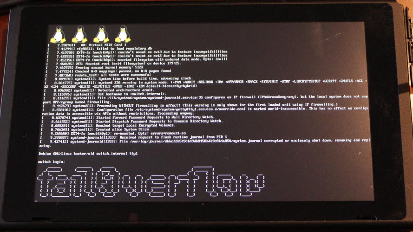 linux nintendo switch hackeada