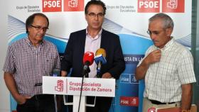 zamora psoe diputacion