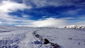 Zamora sanabria nieve laguna peces 4