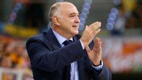 Pablo Laso durante un partido, aplaudiendo