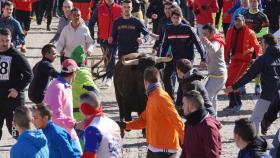 Carnaval Ciudad Rodrigo sábado 8