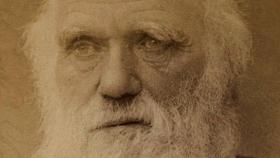 Charles Darwin en 1881.