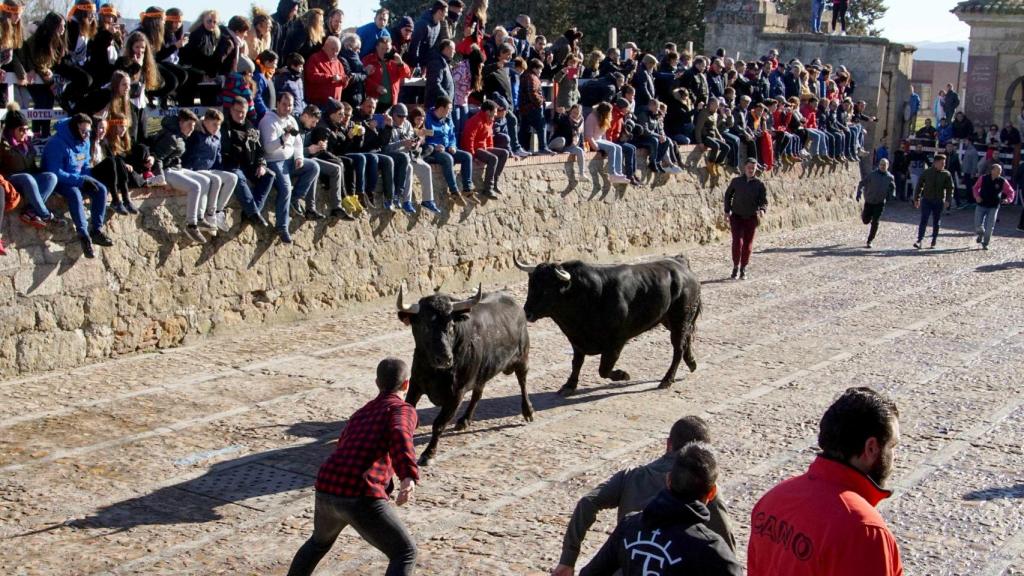 encierro ciudad rodrigo lunes 8