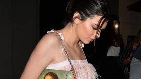 Kendall Jenner luciendo top y ombligo.