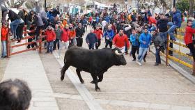 encierro ciudad rodrigo martes 5