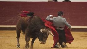 Valladolid-Arroyo-toros-benefico-005