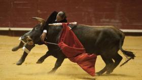 Valladolid-Arroyo-toros-benefico-009