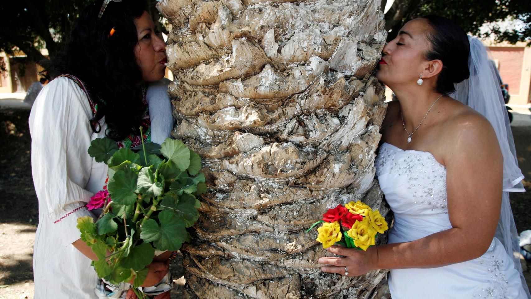 Yo os declaro arbolito y mujer. Varias personas se han casado con árboles en San Jacinto Amilpas, Oaxaca, México, para protestar contra la deforestación. REUTERS/Jorge Luis Plata