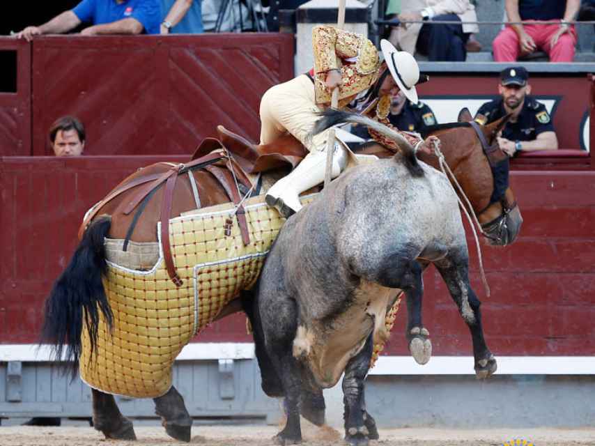 Un toro recibe un puyazo en Las Ventas, una de las suertes que pretende cambiar Tauromaquias Integradas