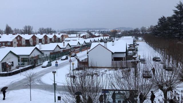 Una nevada en Burgos