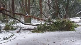 nieve valladolid cigales campo grande 2