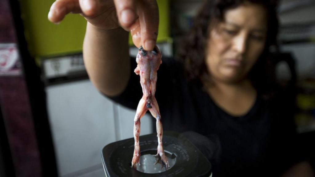 Una mujer preparando el famoso batido de rana.